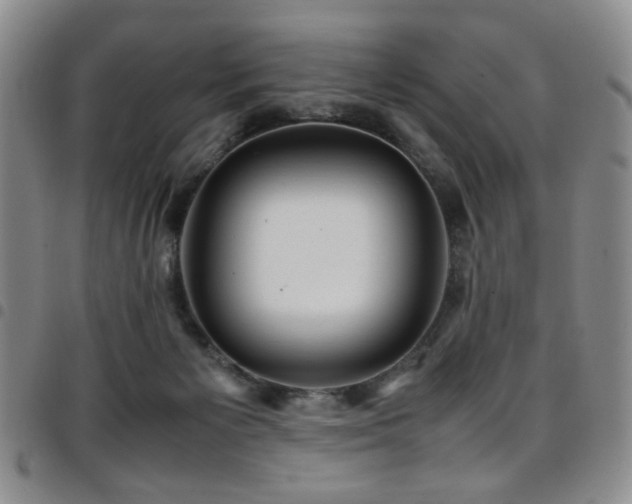 X0000097820125200803141149