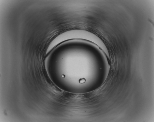 X0000097820128200803141149