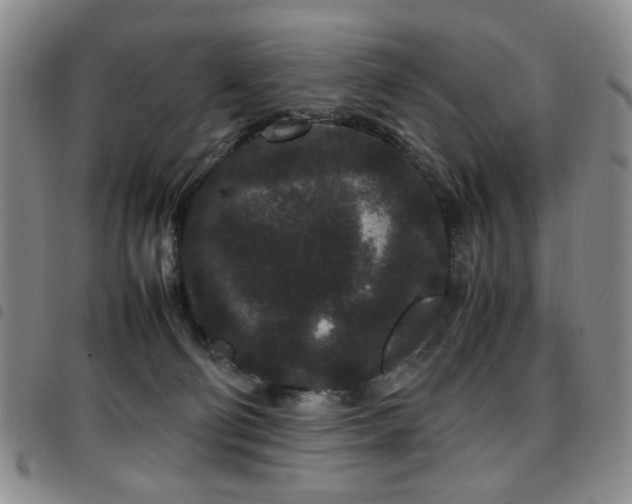 X0000097820130200803141149