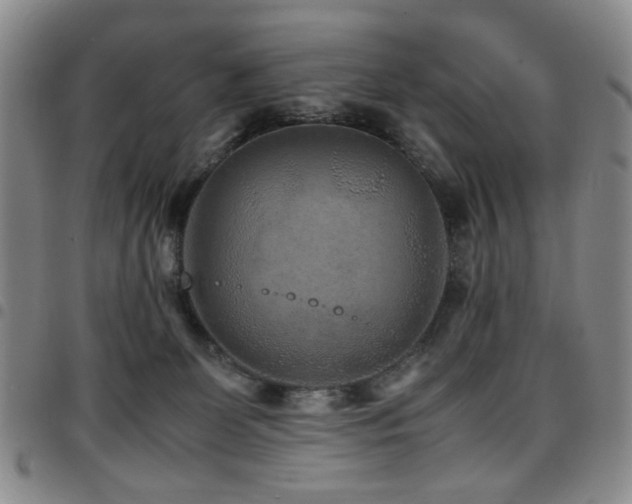 X0000097820131200803141149