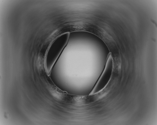 X0000097820136200803141149