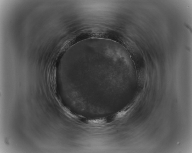 X0000097820137200803141149