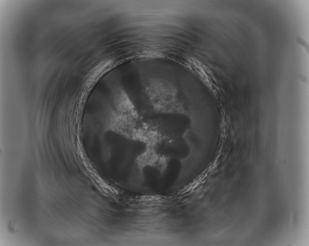 X0000097820145200803141148