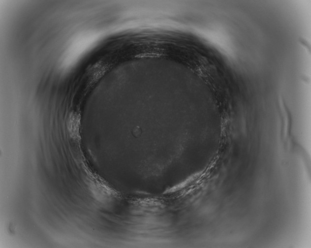 X0000097820146200803141148