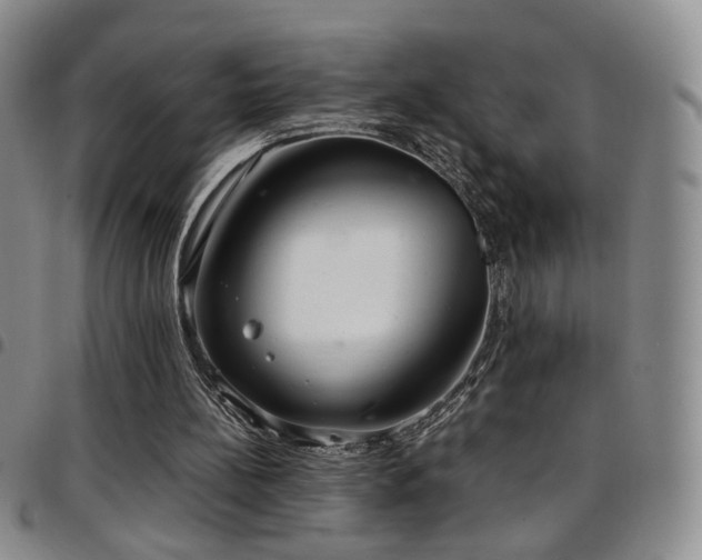 X0000097820148200803141148