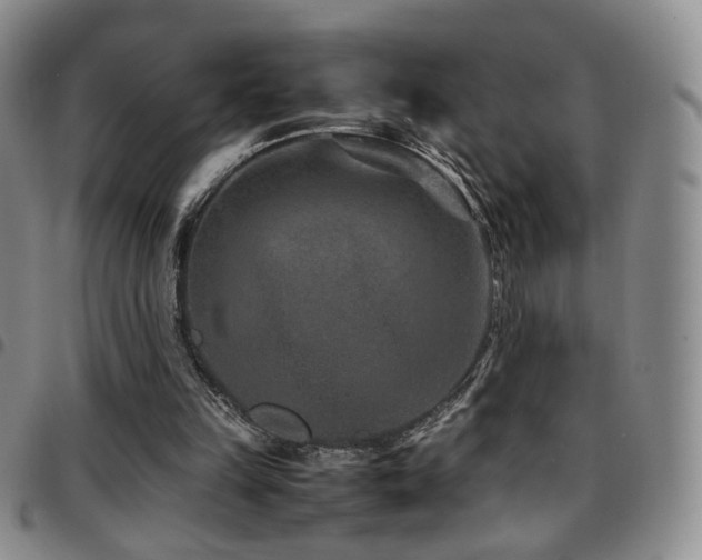 X0000097820149200803141148