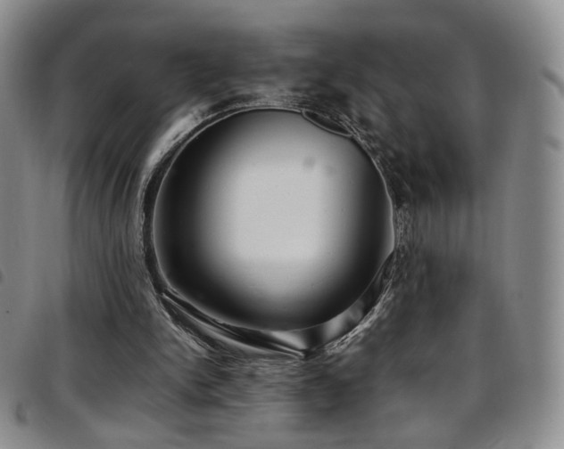 X0000097820150200803141148