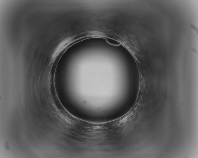 X0000097820151200803141148