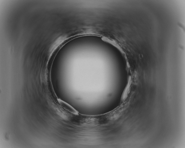 X0000097820152200803141148