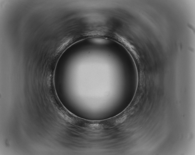 X0000097820153200803141148