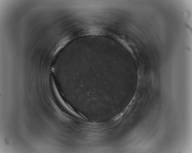 X0000097820154200803141148