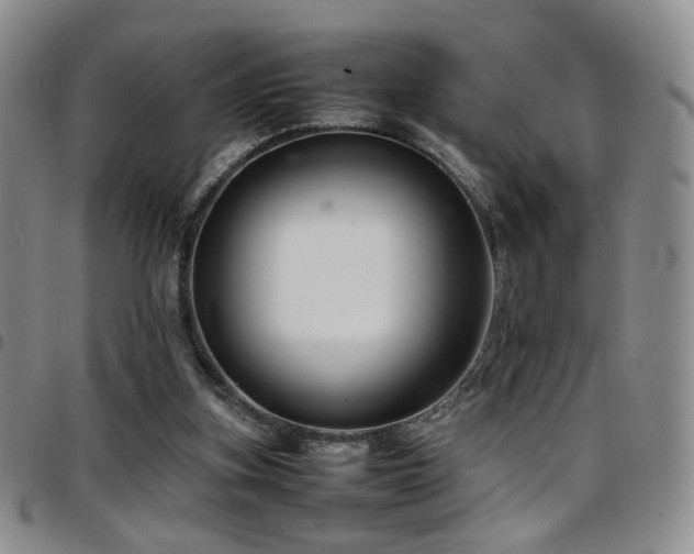 X0000097820155200803141148