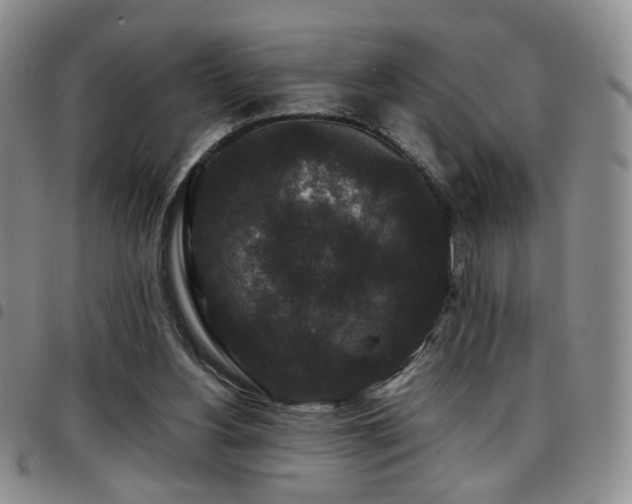 X0000097820156200803141148