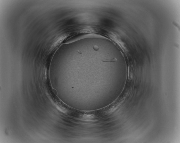 X0000097820157200803141148