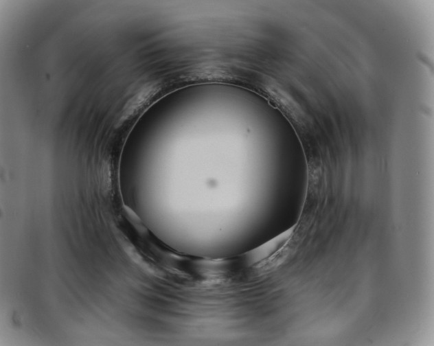 X0000097820158200803141148