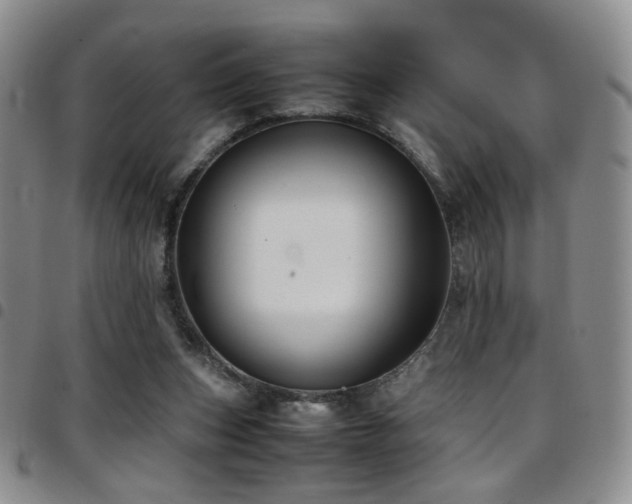 X0000097820159200803141148