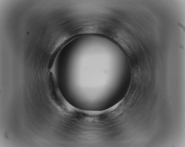 X0000097820160200803141148