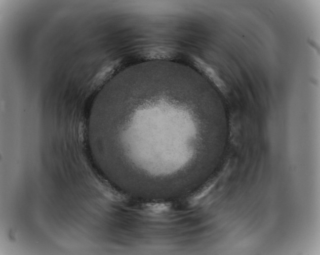 X0000097820161200803141148