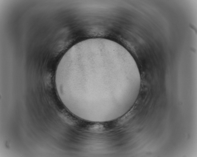 X0000097820162200803141148