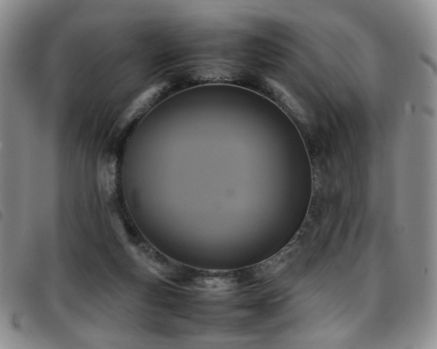 X0000097820163200803141148