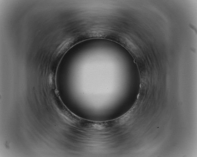 X0000097820166200803141149