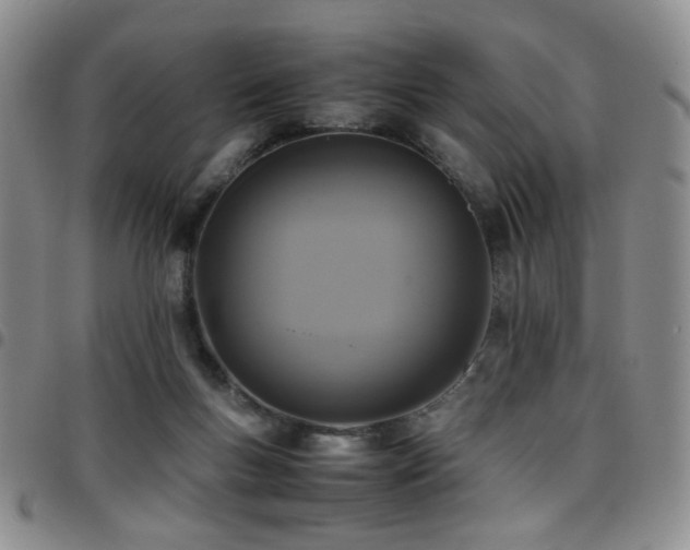 X0000097820167200803141149