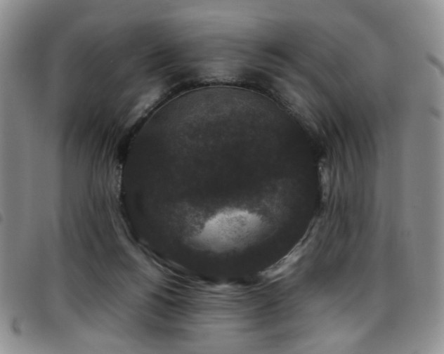 X0000097820168200803141149