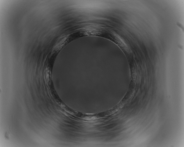 X0000097820169200803141149