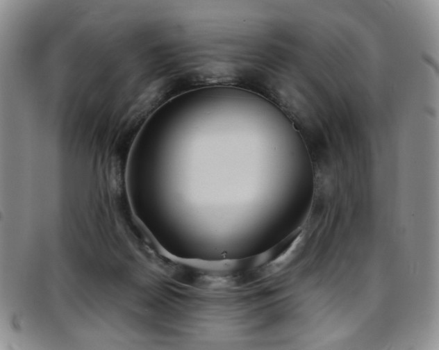 X0000097820170200803141149