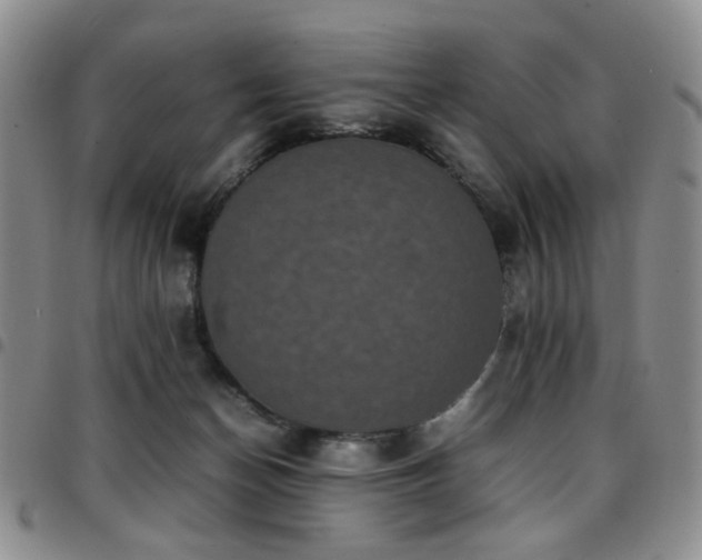 X0000097820174200803141149