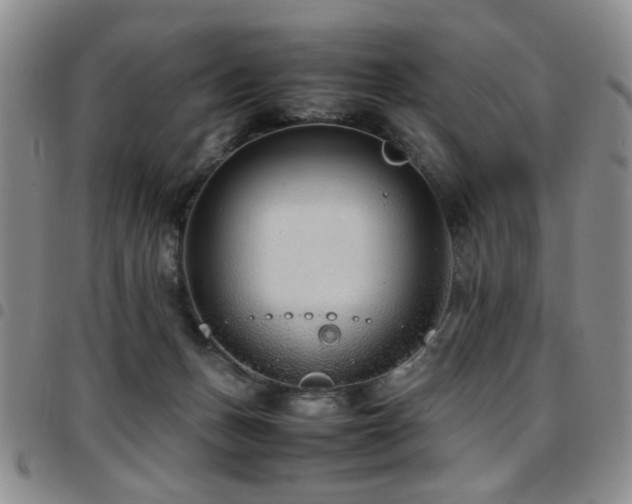 X0000097820175200803141149