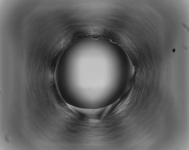 X0000097820176200803141149