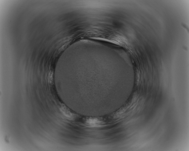 X0000097820177200803141149