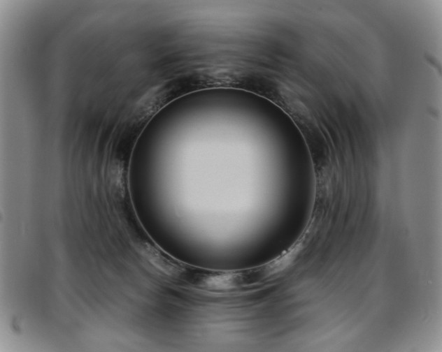 X0000097820178200803141149