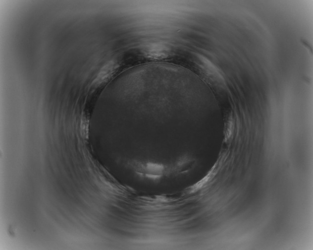 X0000097820180200803141149