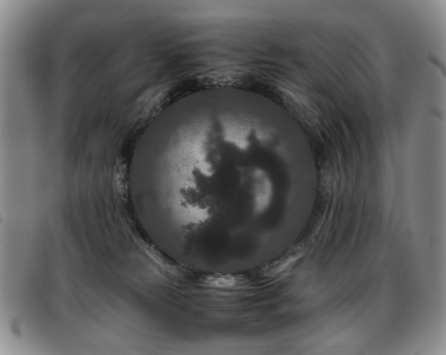 X0000097820181200803141149