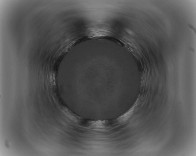 X0000097820182200803141149