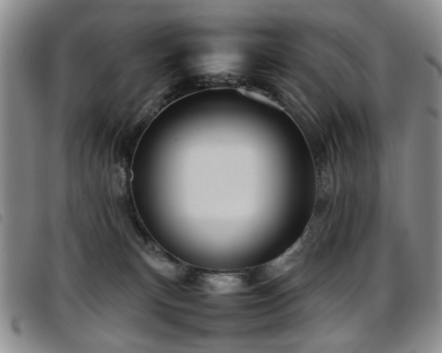 X0000097820183200803141149