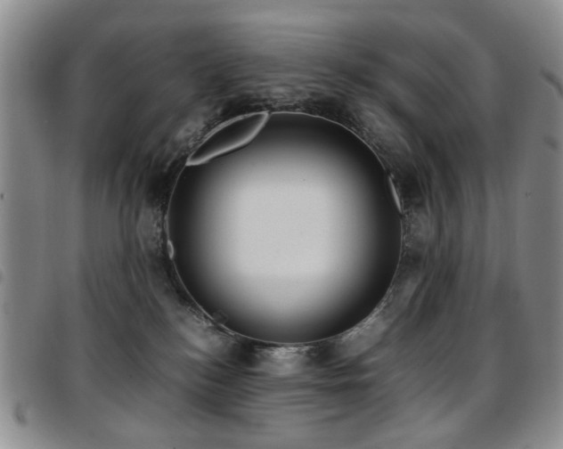 X0000097820184200803141149