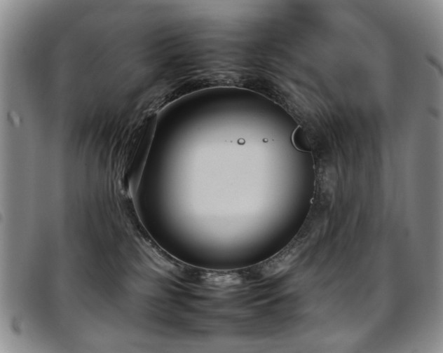 X0000097820185200803141149