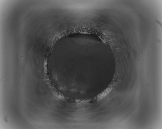 X0000097820192200803141149