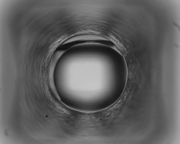 X0000097820193200803141148