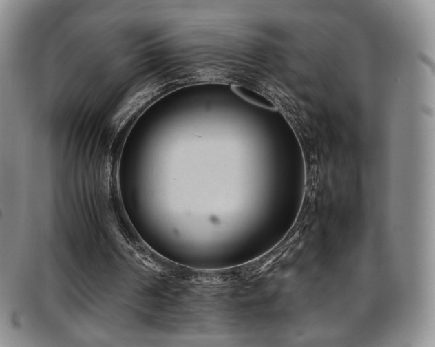 X0000097820194200803141148