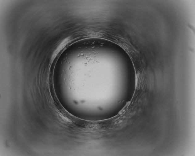 X0000097820195200803141148