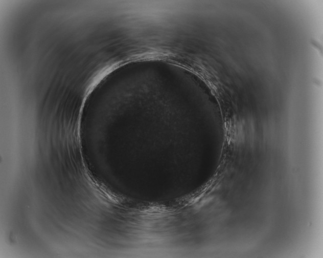 X0000097820196200803141148