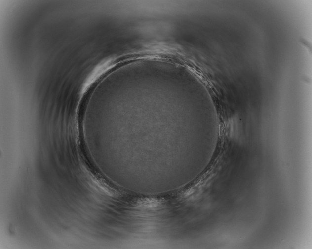 X0000097820198200803141148