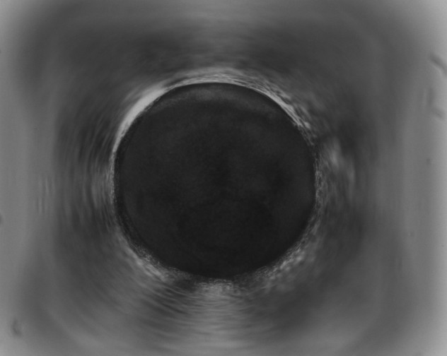 X0000097820200200803141148