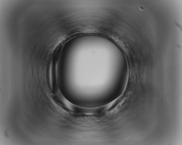 X0000097820201200803141148