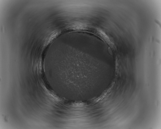 X0000097820202200803141148