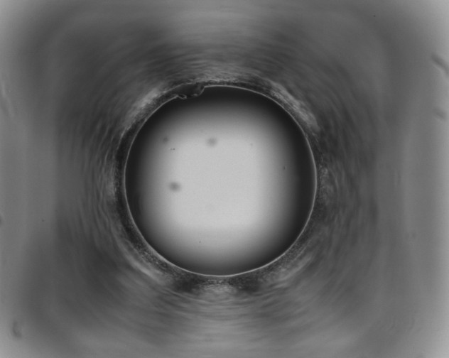 X0000097820203200803141148